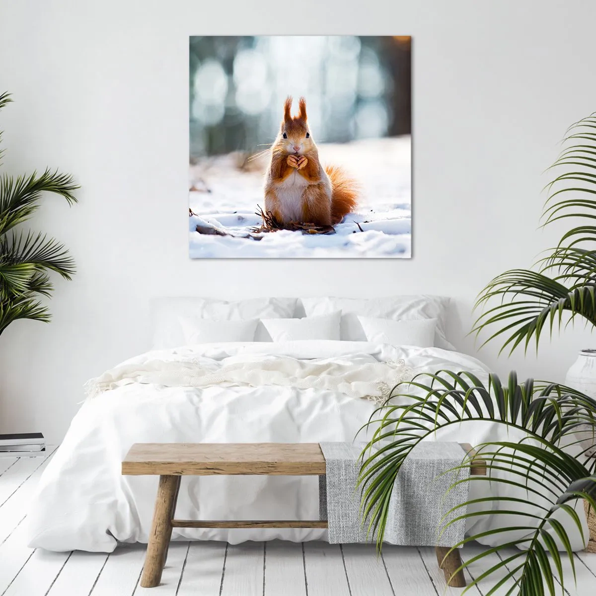 Bild auf Leinwand - Leinwandbild - Wo schaust du hin? - 70x70 cm