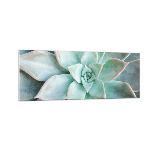 Glasbild - Bild auf glas - Nahaufnahme einer grünen Sukkulente - 140x50cm - Das Herz der Wüste - Moderne Wanddekoration für Wohnzimmer und Schlafzimmer ARTTOR