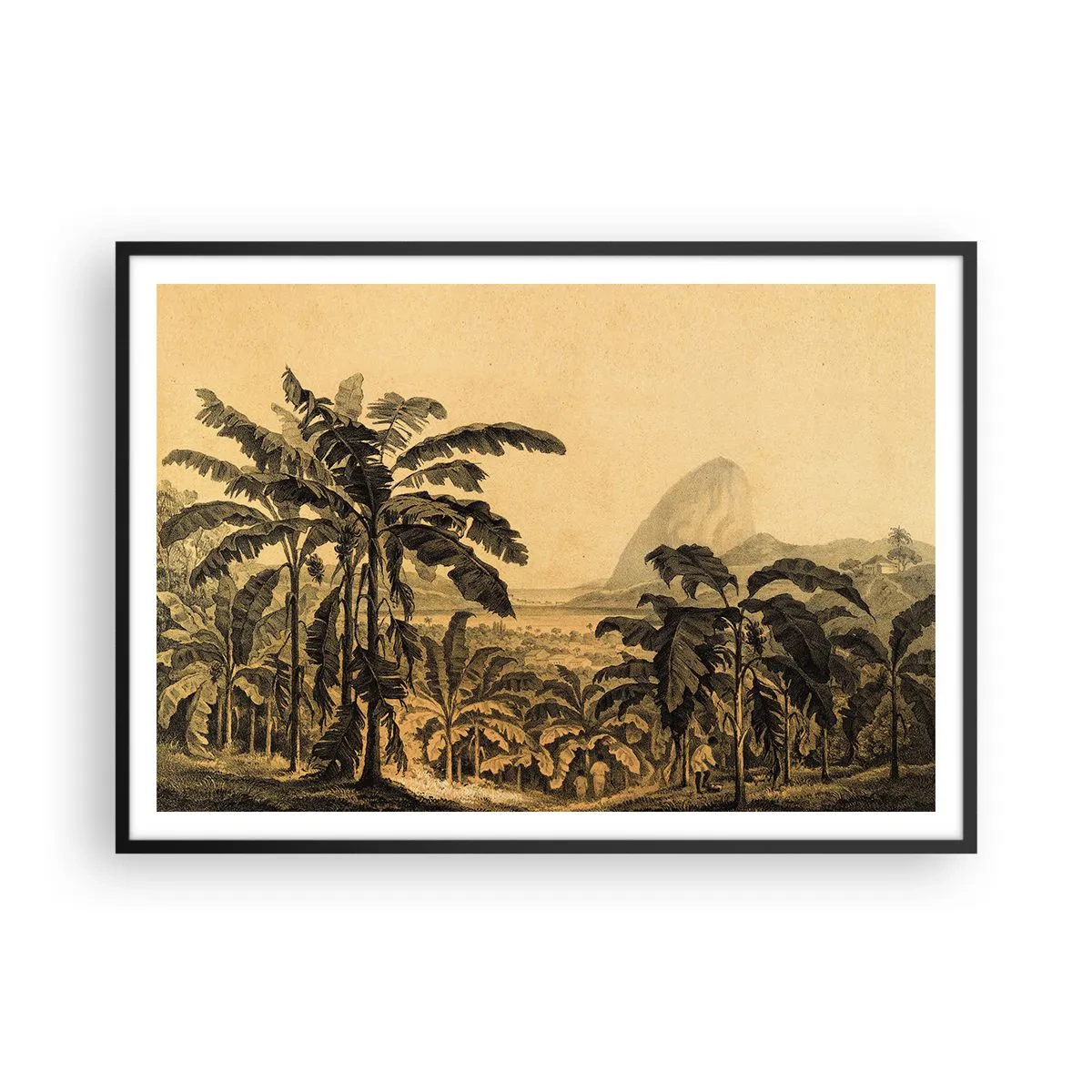 Poster in einem schwarzem Rahmen - Zeichnung von Bananenbäumen vor dem Hintergrund einer tropischen Landschaft - 100x70cm - in einem kolonialen Klima - Moderne Wanddekoration für Wohnzimmer und Schlafzimmer ARTTOR