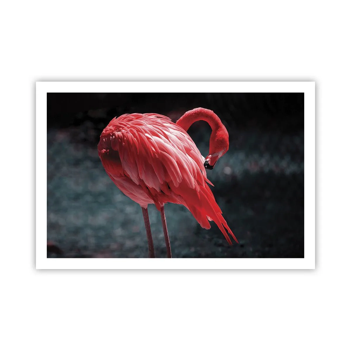 Poster - Ein purpurrotes Gedicht der Natur - 91x61 cm