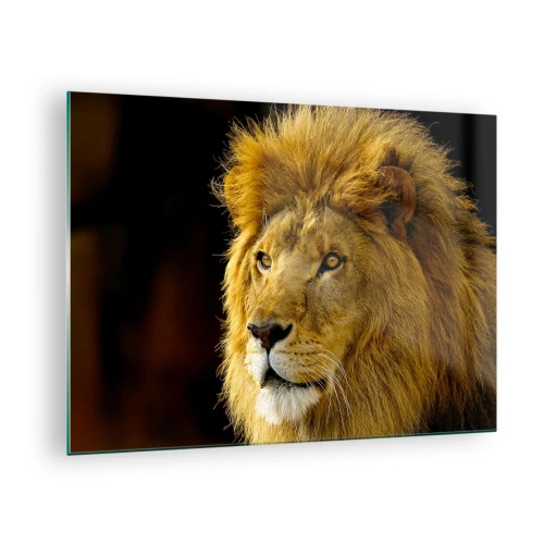 Glasbild - Bild auf glas - Porträt eines majestätischen Löwen vor dunklem Hintergrund - 70x50cm - Porträt des Königs - Moderne Wanddekoration für Wohnzimmer und Schlafzimmer ARTTOR