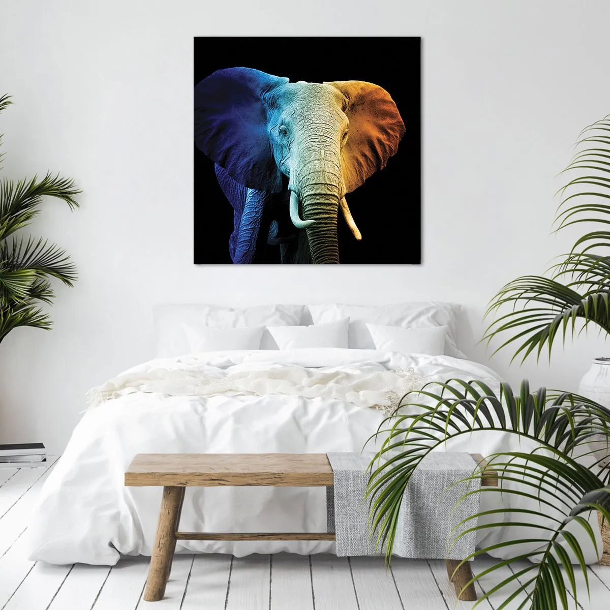 Bild auf Leinwand - Leinwandbild - Exzentrisch, kein Verrückter - 60x60 cm