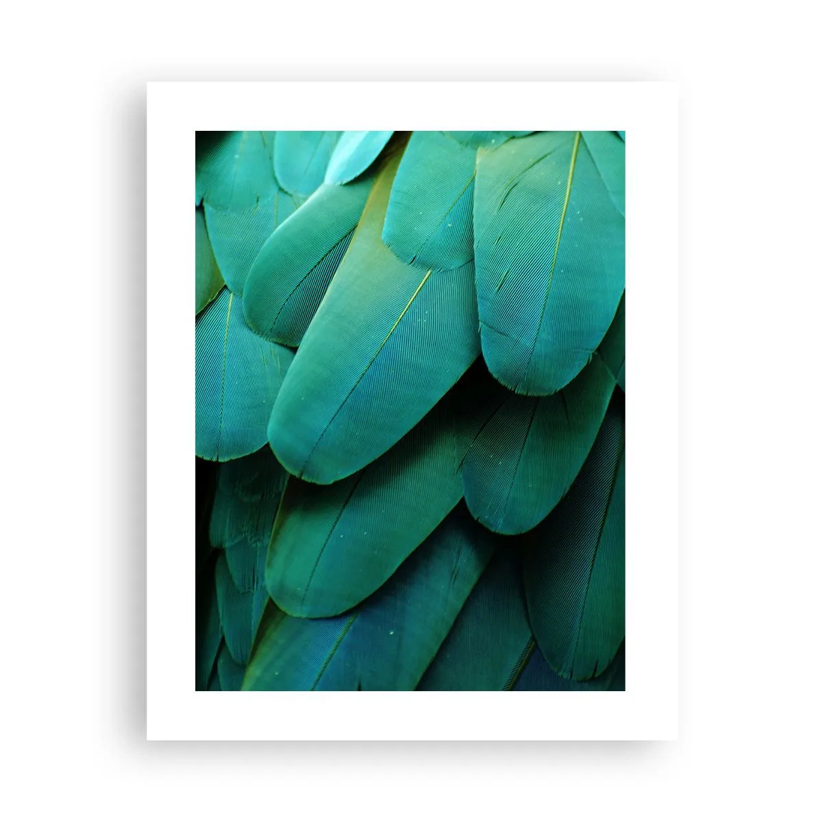 Poster - Papageienartige Präzision - 40x50 cm