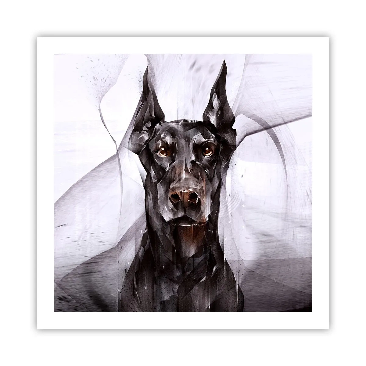 Poster - Edelgeboren - 60x60 cm