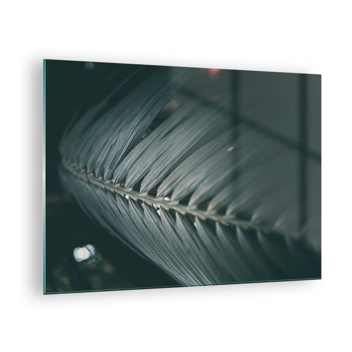 Glasbild - Bild auf glas - Nahaufnahme eines dunkelgrünen Palmblattes mit Lichtreflexion - 70x50cm - Die Präzision der Natur - Moderne Wanddekoration für Wohnzimmer und Schlafzimmer ARTTOR