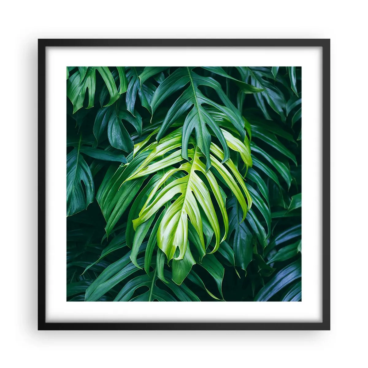 Poster in einem schwarzem Rahmen - Tauchen Sie ein in die Frische - 50x50 cm