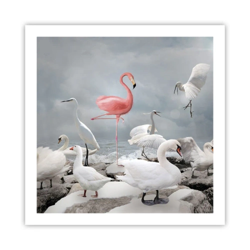 Poster - Wie kam ich hier hin? - 60x60 cm