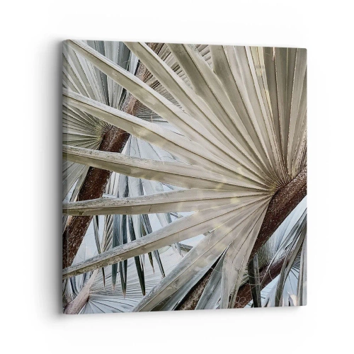 Bild auf Leinwand - Leinwandbild - Fans in den Tropen - 30x30 cm