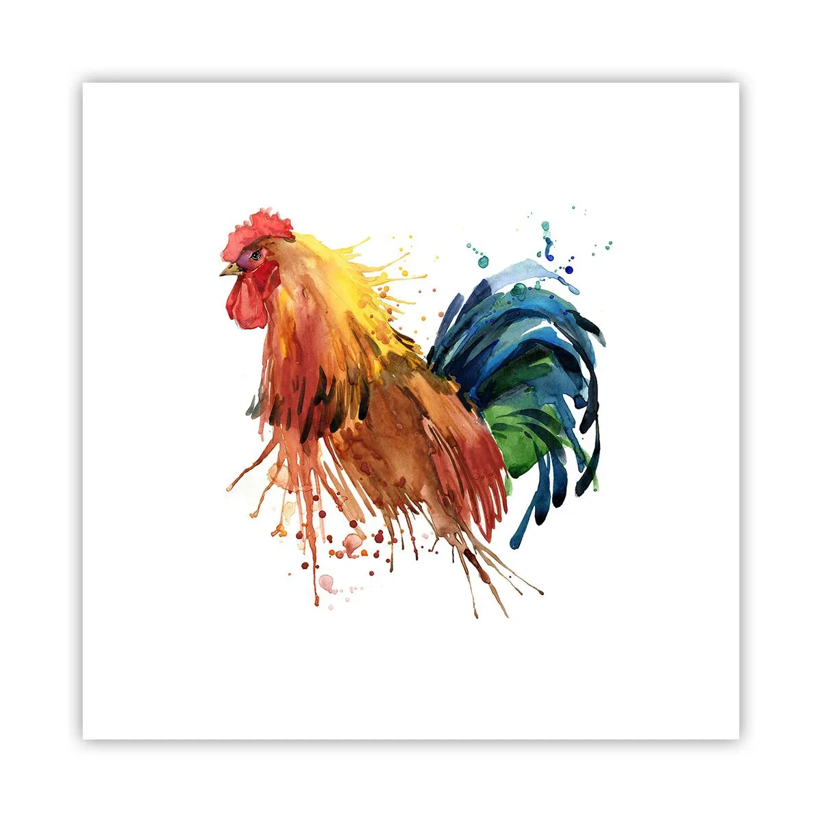 Poster - Königliches Gewand, königlicher Stolz - 30x30 cm