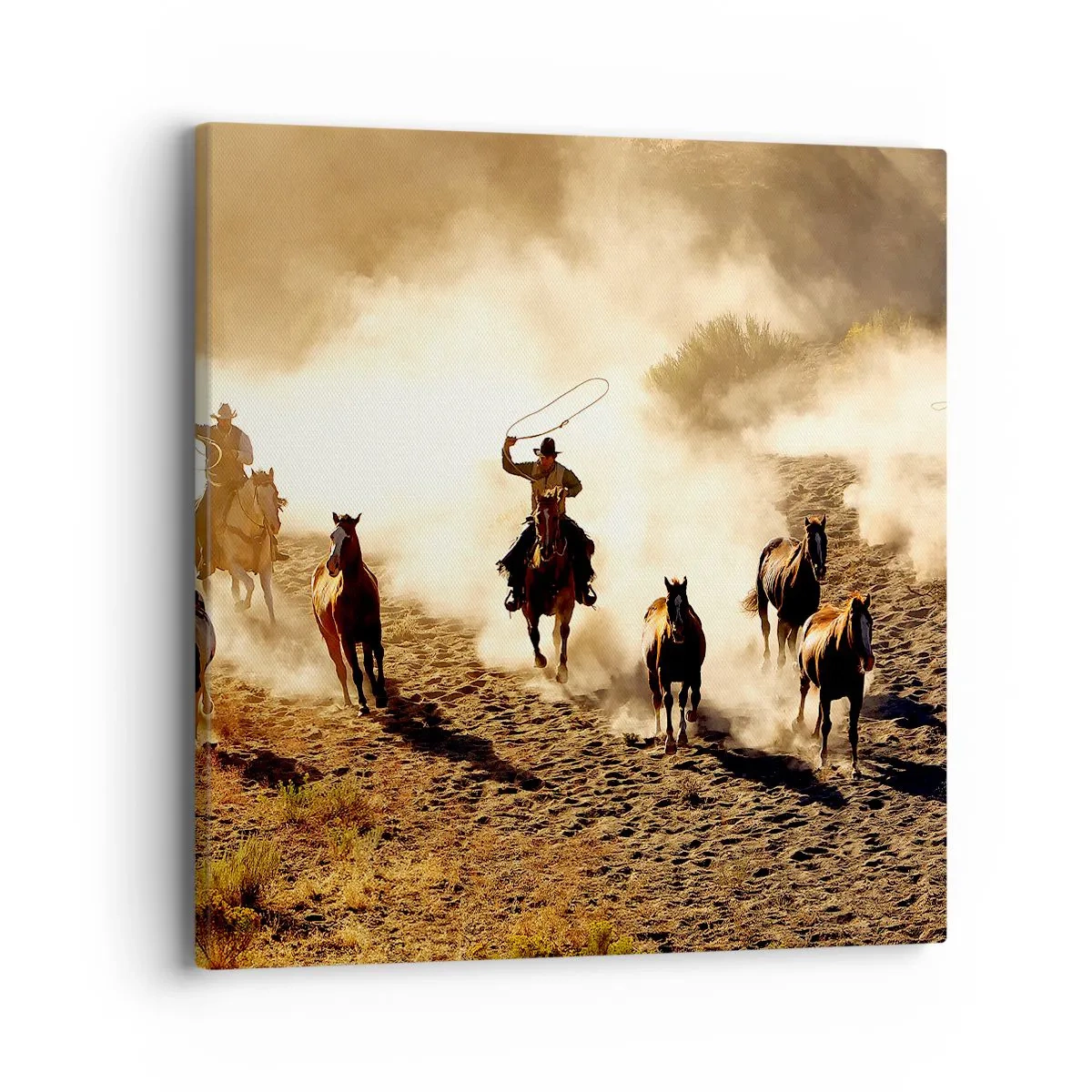 Bild auf Leinwand - Leinwandbild - Wirklich wilder Westen - 40x40 cm