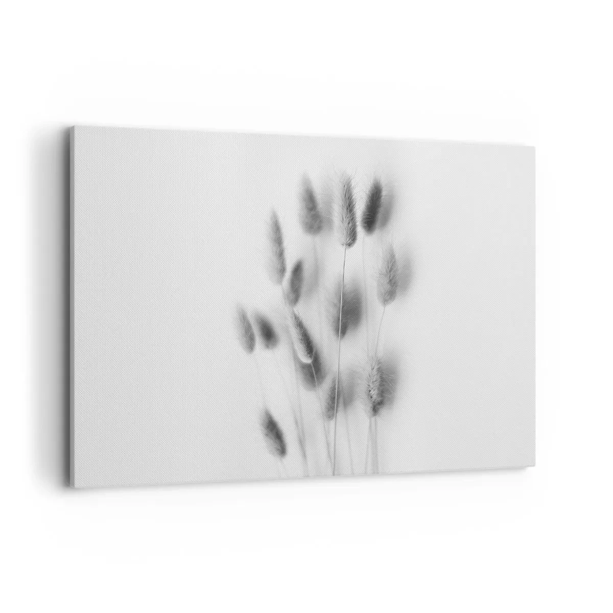 Bild auf Leinwand - Leinwandbild - Zarte Gräser in Grautönen auf weißem Hintergrund - 120x80cm - Eure flauschige Grashoheit - Moderne Wanddekoration für Wohnzimmer und Schlafzimmer ARTTOR