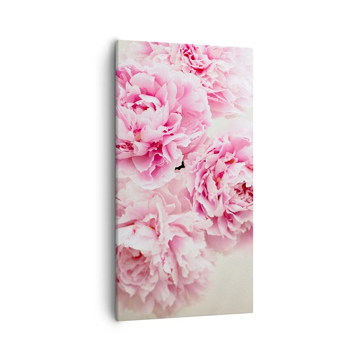 Bild auf Leinwand - Leinwandbild - In rosa Glamour - 55x100 cm