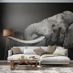 Fototapete Premium Sand - Ja, gut jetzt - Tiere, Elefant, Afrika - 150x105 cm