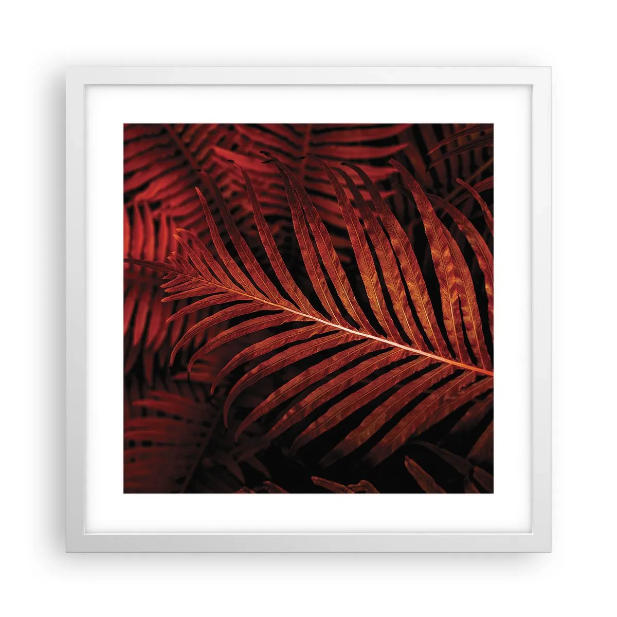 Poster in einem weißen Rahmen - Die Hitze des Lebens - 40x40 cm