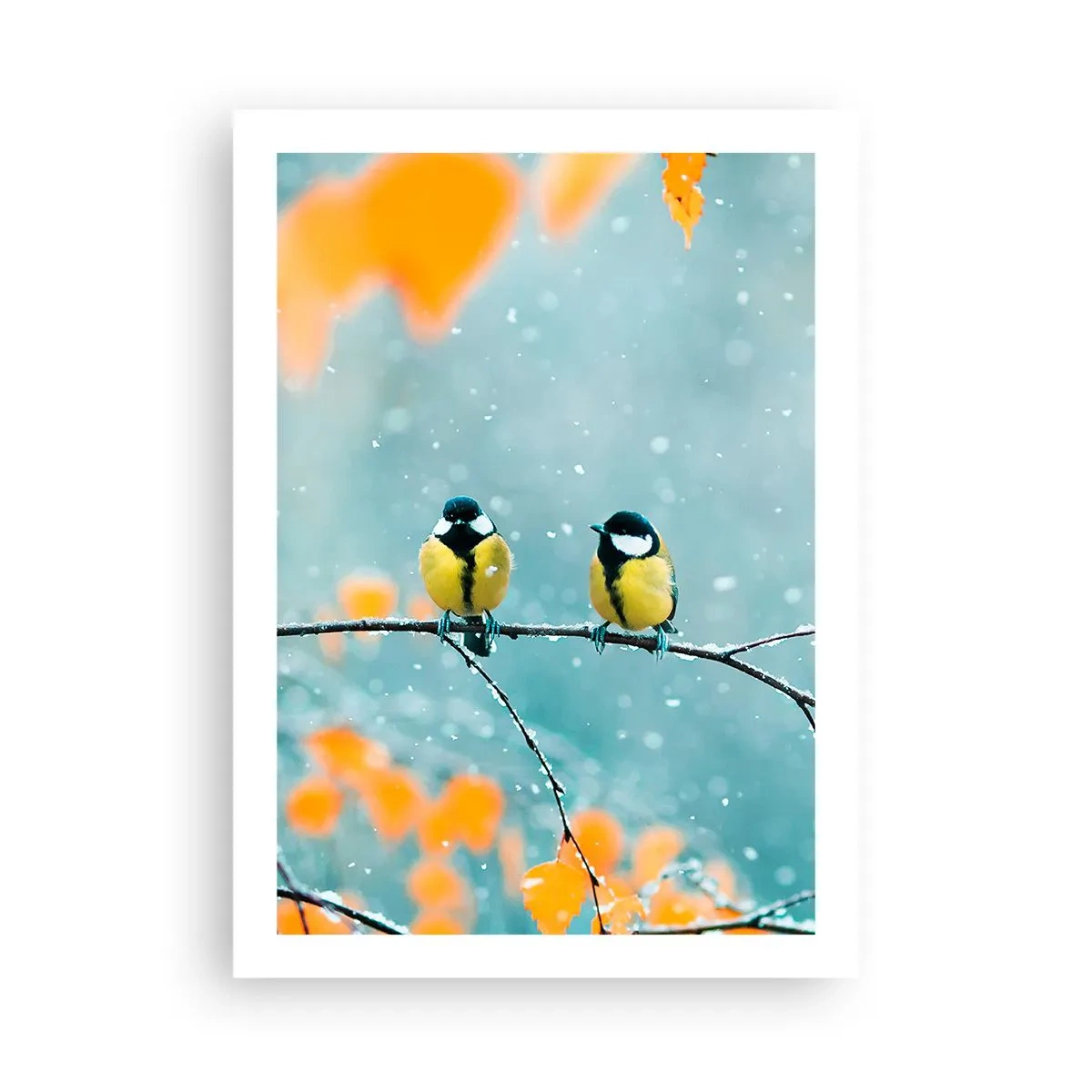 Poster - Zwei Meisen sitzen auf einem Ast in einer Winterlandschaft - 50x70cm - Vogelklatsch - Moderne Wanddekoration für Wohnzimmer und Schlafzimmer ARTTOR