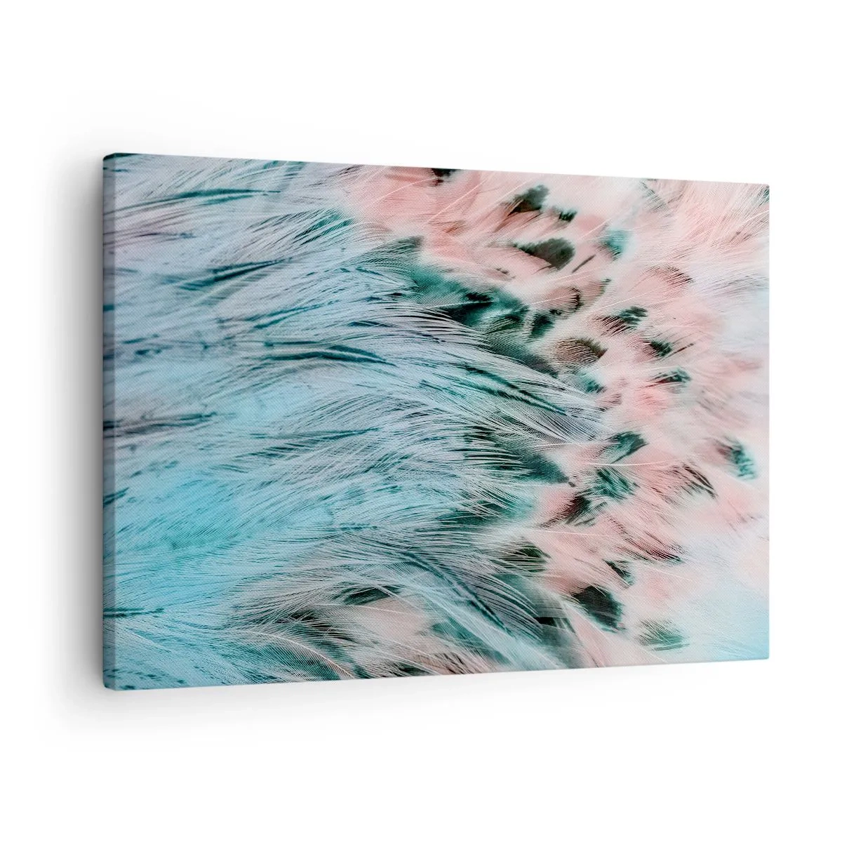 Bild auf Leinwand - Leinwandbild - Nahaufnahme von Federn in pastellfarbenen Saphir-Rosa-Farben - 70x50cm - Saphirrosa Daunen - Moderne Wanddekoration für Wohnzimmer und Schlafzimmer ARTTOR