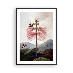 Poster in einem schwarzem Rahmen - Exotische Blume mit Kolibris zwischen den Bergen - 50x70cm - In einem tropischen Paradies - Moderne Wanddekoration für Wohnzimmer und Schlafzimmer ARTTOR