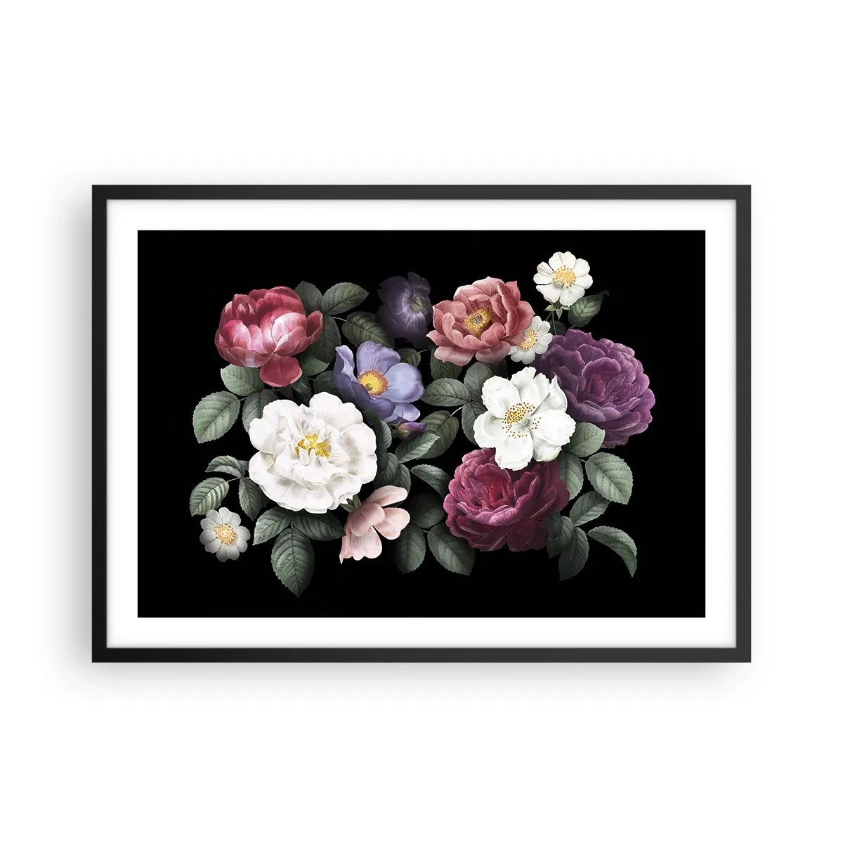 Poster in einem schwarzem Rahmen - Blumen in verschiedenen Farben auf schwarzem Hintergrund - 70x50cm - Aus dem Englischen Garten - Moderne Wanddekoration für Wohnzimmer und Schlafzimmer ARTTOR
