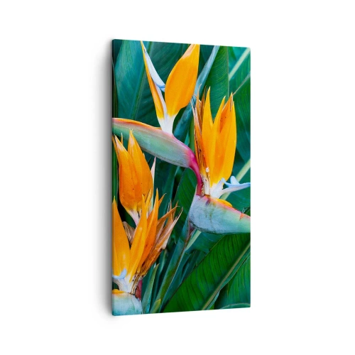 Bild auf Leinwand - Leinwandbild - Ist es eine Blume oder ist es ein Vogel? - 45x80 cm