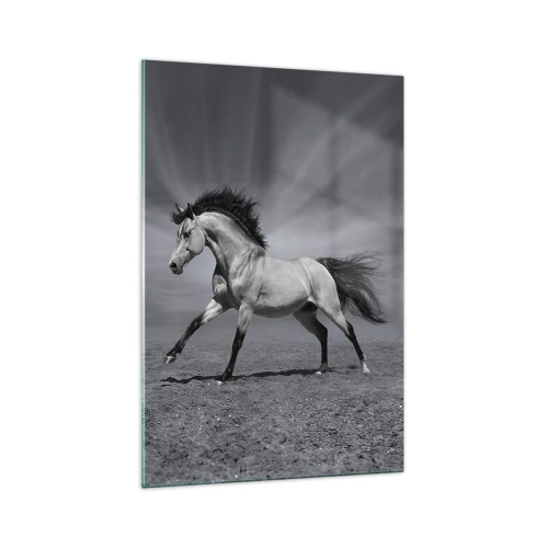Glasbild - Bild auf glas - Ein schwarz-weißes Pferd in einer dynamischen Pose in der Wüste. - 70x100cm - Geboren um Freude zu bereiten - Moderne Wanddekoration für Wohnzimmer und Schlafzimmer ARTTOR