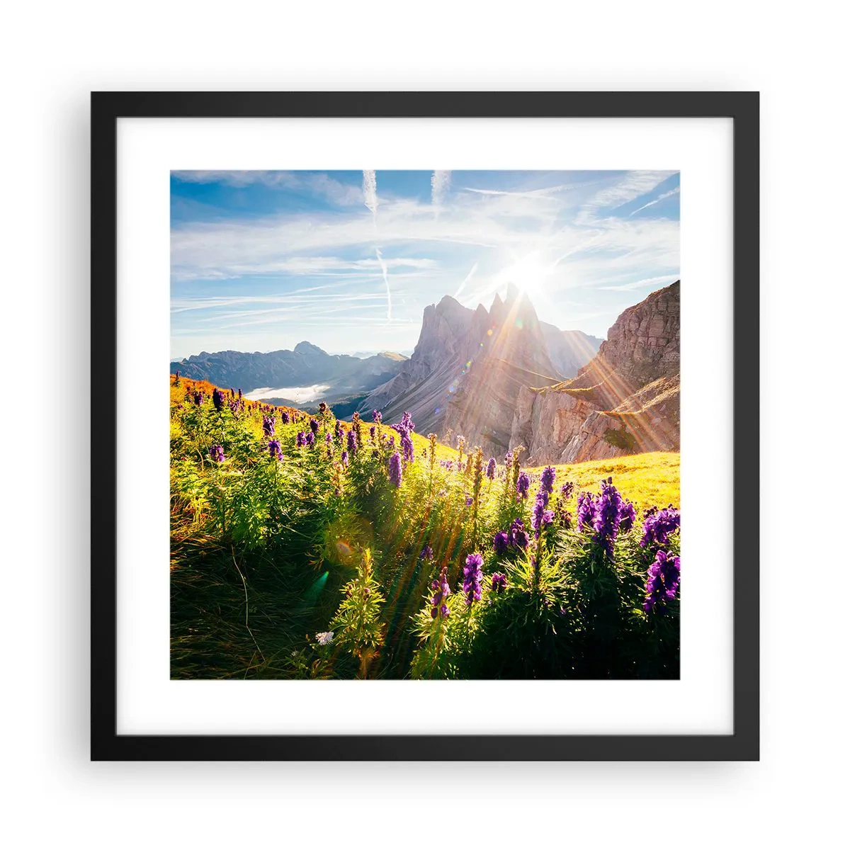 Poster in einem schwarzem Rahmen - Das geheime Leben der Kräuter - 40x40 cm