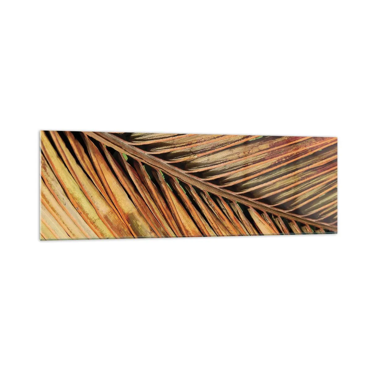 Glasbild - Bild auf glas - Nahaufnahme eines trockenen Palmblattes in warmen Tönen - 160x50cm - Kokosnuss-Gold - Moderne Wanddekoration für Wohnzimmer und Schlafzimmer ARTTOR