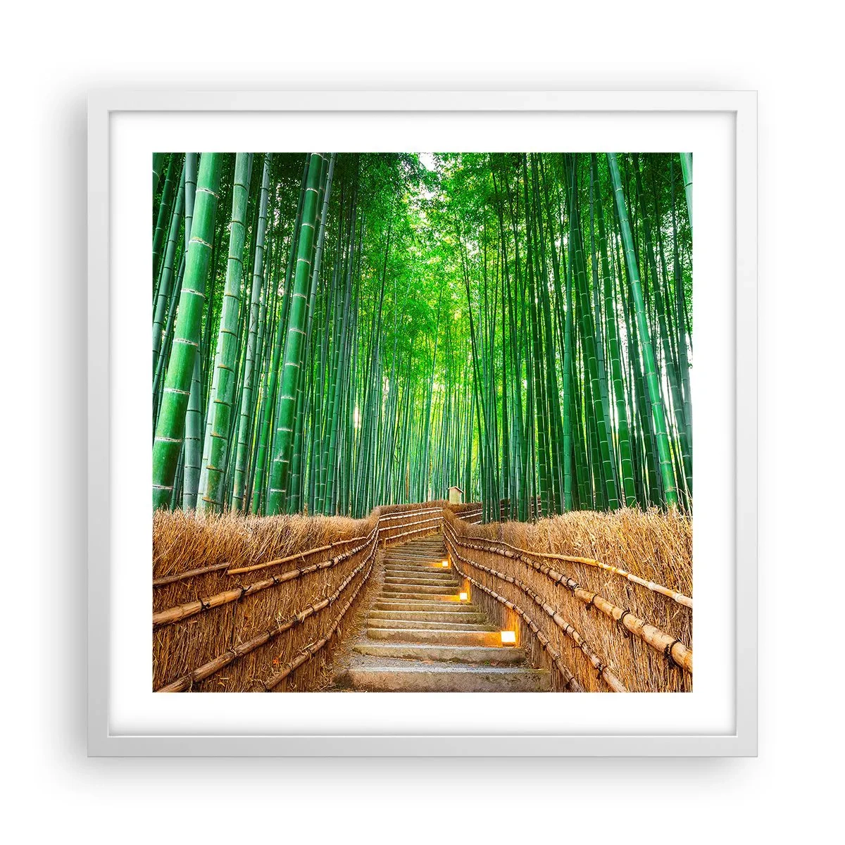 Poster in einem weißen Rahmen - Die Essenz der asiatischen Natur - 50x50 cm