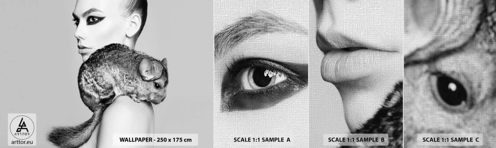 Fototapeten Muster Premium Canvas - Dame mit einem Chinchilla - Frau, Frau mit Chinchilla, Modell - 100x30 cm