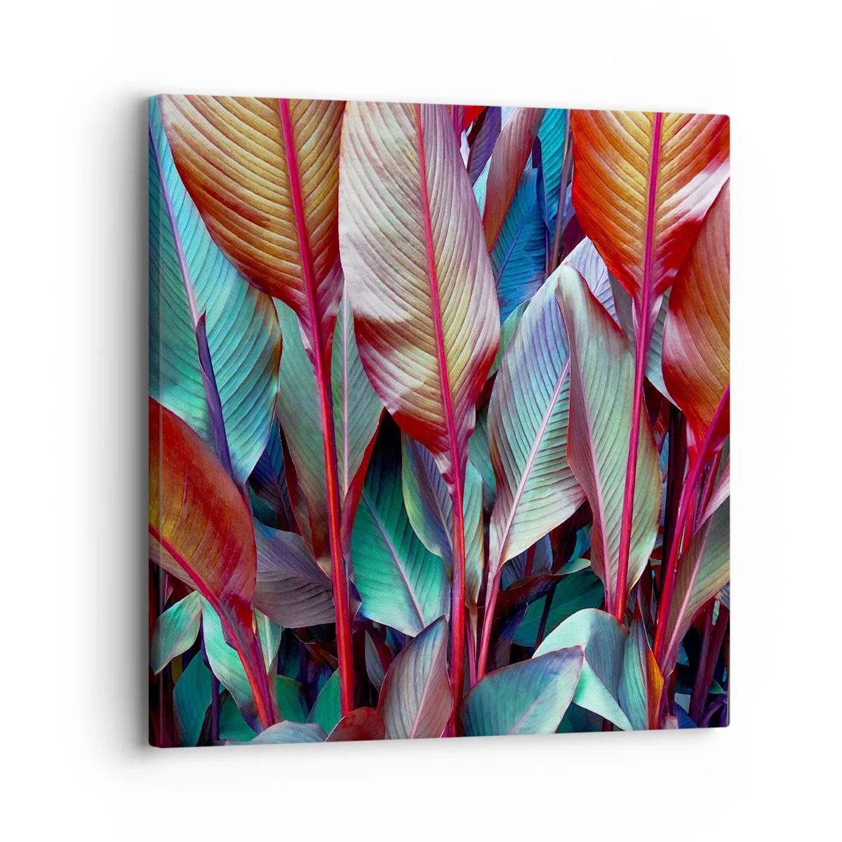 Bild auf Leinwand - Leinwandbild - Buntes Dickicht - 30x30 cm