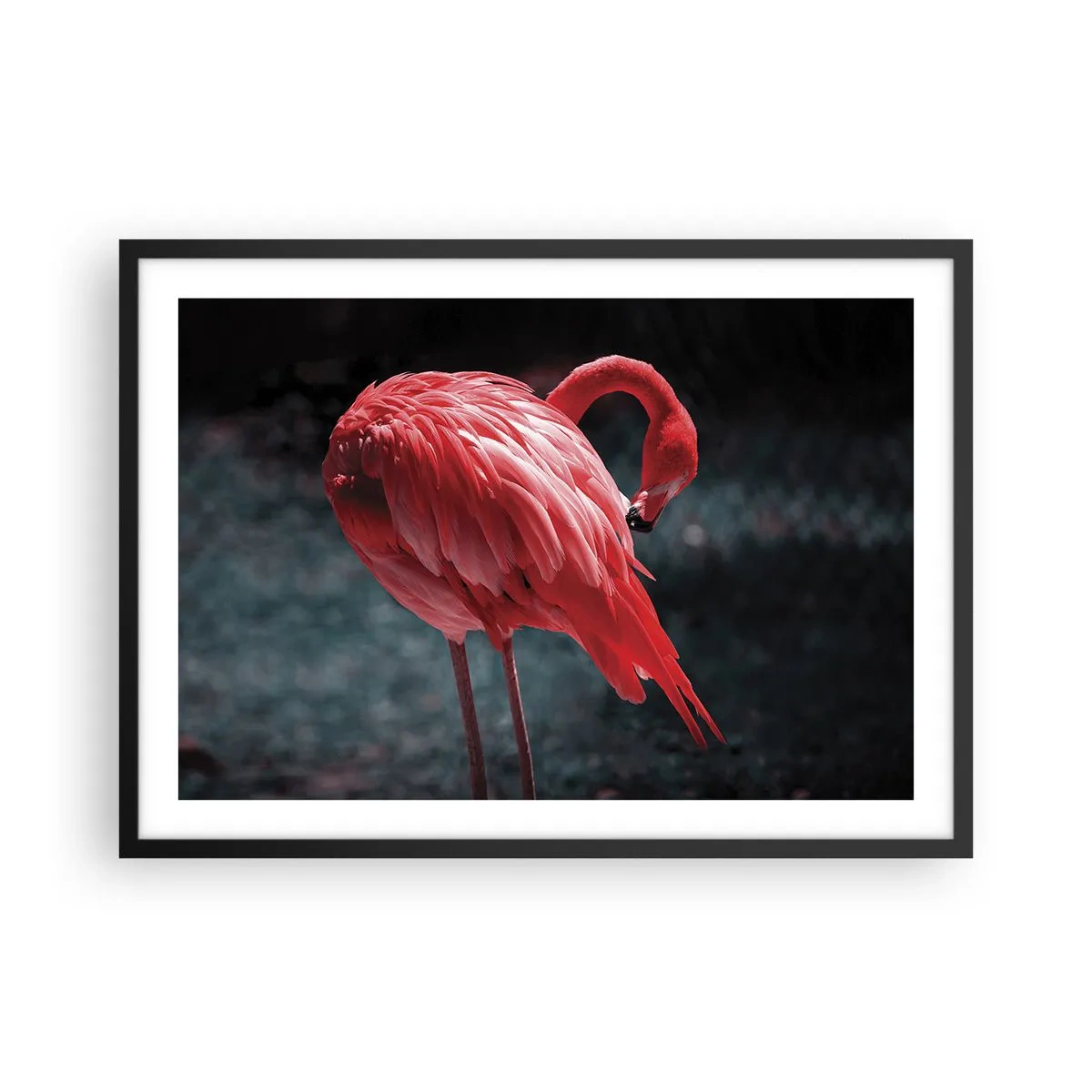 Poster in einem schwarzem Rahmen - Ein rosa Flamingo auf dunkelgrünem Hintergrund - 70x50cm - Ein purpurrotes Gedicht der Natur - Moderne Wanddekoration für Wohnzimmer und Schlafzimmer ARTTOR