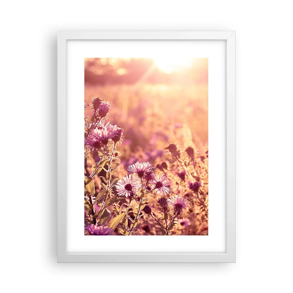 Poster in einem weißen Rahmen - Bevor der Sommer vorbei ist - 30x40 cm