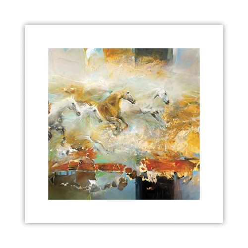 Poster - Im Galopp durch das Licht - 30x30 cm
