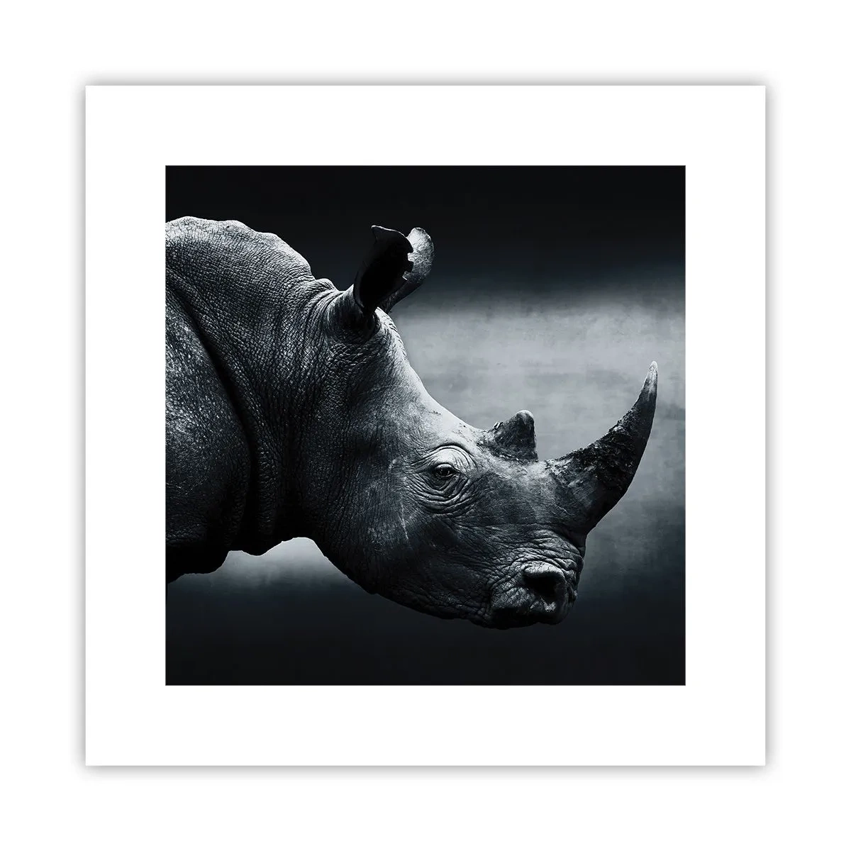 Poster - Richtiges Profil - 30x30 cm