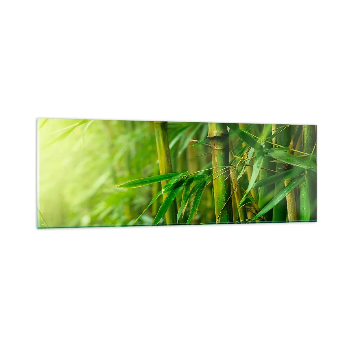 Glasbild - Bild auf glas - Lerne Grün selbst kennen - 90x30 cm