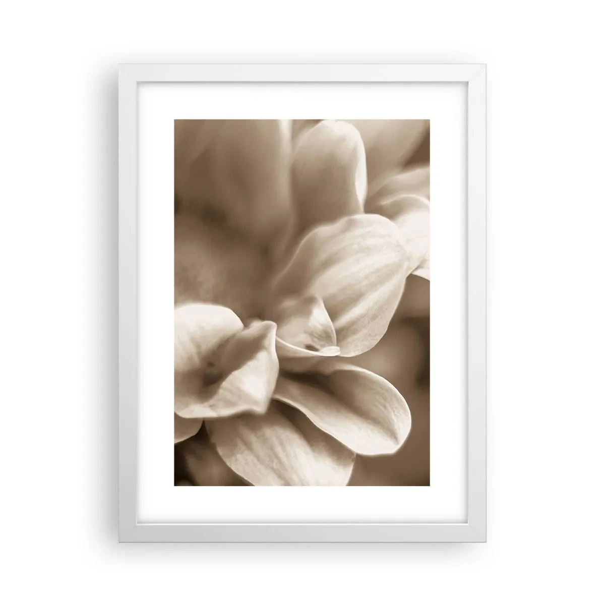 Poster in einem weißen Rahmen - So sanft wie ein Lächeln - 30x40 cm