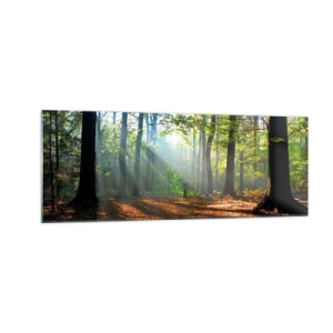 Glasbild - Bild auf glas - Eine Waldlichtung, die von den Sonnenstrahlen erleuchtet wird - 140x50cm - Licht und Schatten - Moderne Wanddekoration für Wohnzimmer und Schlafzimmer ARTTOR