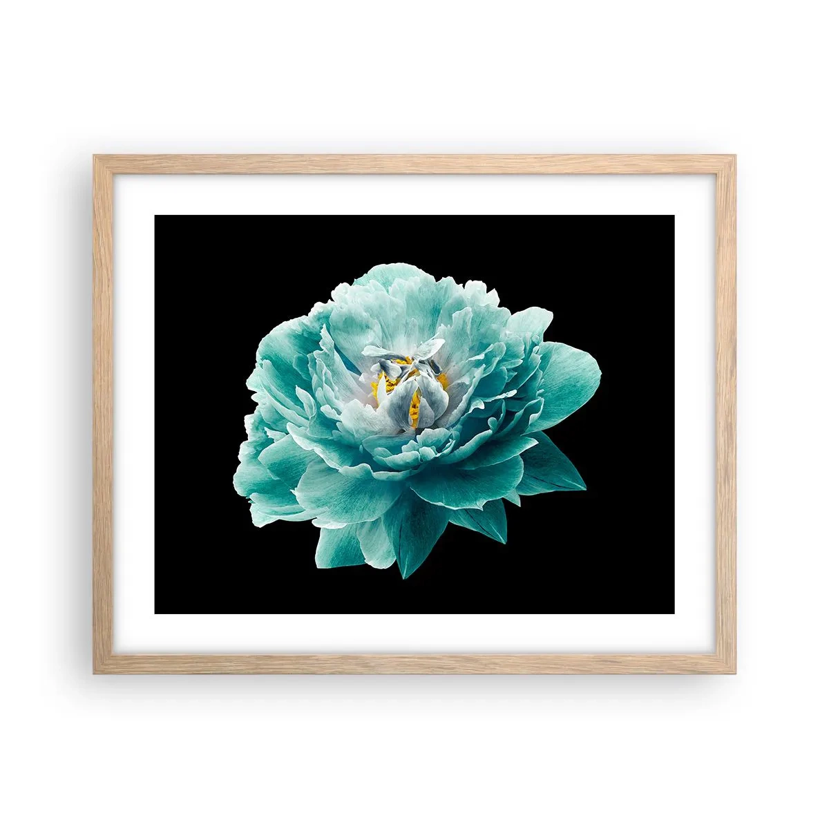 Poster in einem Rahmen aus heller Eiche - Blaue und goldene Blütenblätter - 50x40 cm