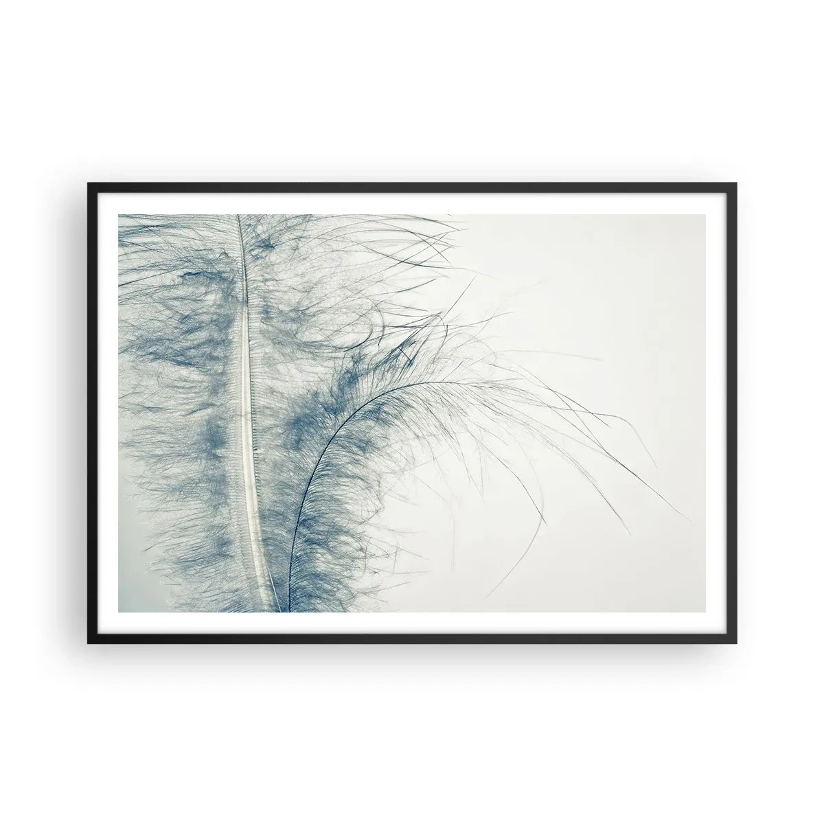 Poster in einem schwarzem Rahmen - Eine zarte Feder in Pastelltönen auf hellem Untergrund - 100x70cm - Flüstern der Natur - Moderne Wanddekoration für Wohnzimmer und Schlafzimmer ARTTOR