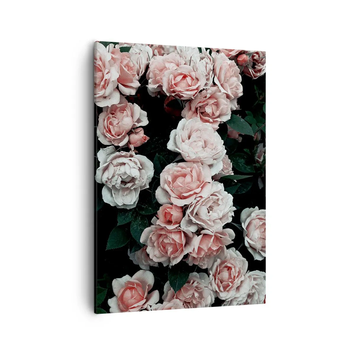 Bild auf Leinwand - Leinwandbild - Rosa Rosen auf dunklem Hintergrund in einer subtilen Komposition - 50x70cm - Rosen-Ensemble - Moderne Wanddekoration für Wohnzimmer und Schlafzimmer ARTTOR