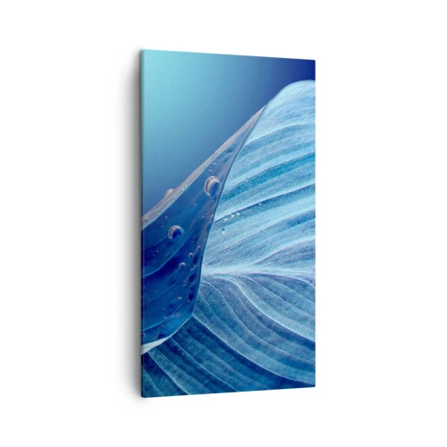 Bild auf Leinwand - Leinwandbild - Versteckte Tropfen vom Blau - 45x80 cm