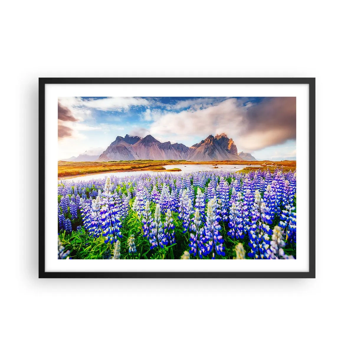 Poster in einem schwarzem Rahmen - Blumen in einer Berglandschaft mit malerischem Himmel - 70x50cm - Kraft und Strenge neben Sanftmut - Moderne Wanddekoration für Wohnzimmer und Schlafzimmer ARTTOR