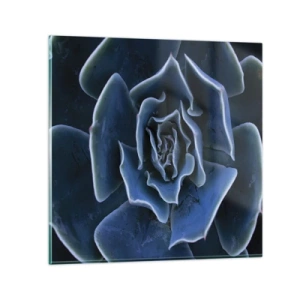 Glasbild - Bild auf glas - Wüstenblume - 30x30 cm