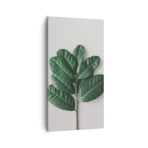 Bild auf Leinwand - Leinwandbild - Eine Zeichnung purer Natur - 55x100 cm