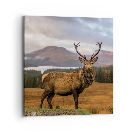 Bild auf Leinwand - Leinwandbild - Die Majestät der Natur - 70x70 cm