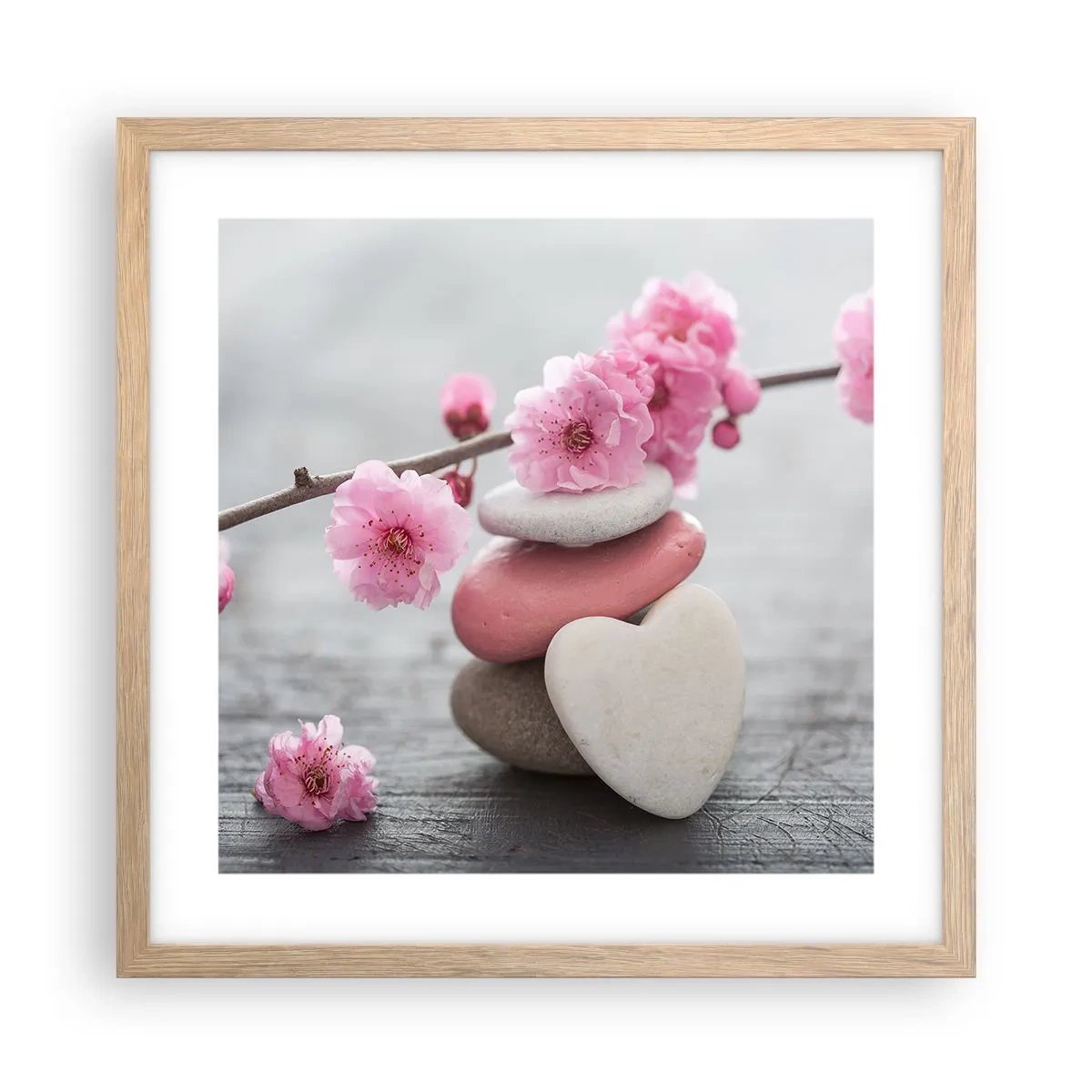 Poster in einem Rahmen aus heller Eiche - Glückseligkeit mit einer Kirschblüte - 40x40 cm