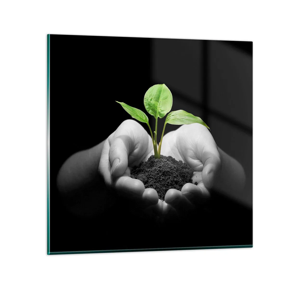 Glasbild - Bild auf glas - Ich liebe die Natur, ich beschütze sie - 50x50 cm