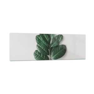Glasbild - Bild auf glas - Ein Zweig grüner Blätter auf hellem Hintergrund - 160x50cm - Eine Zeichnung purer Natur - Moderne Wanddekoration für Wohnzimmer und Schlafzimmer ARTTOR