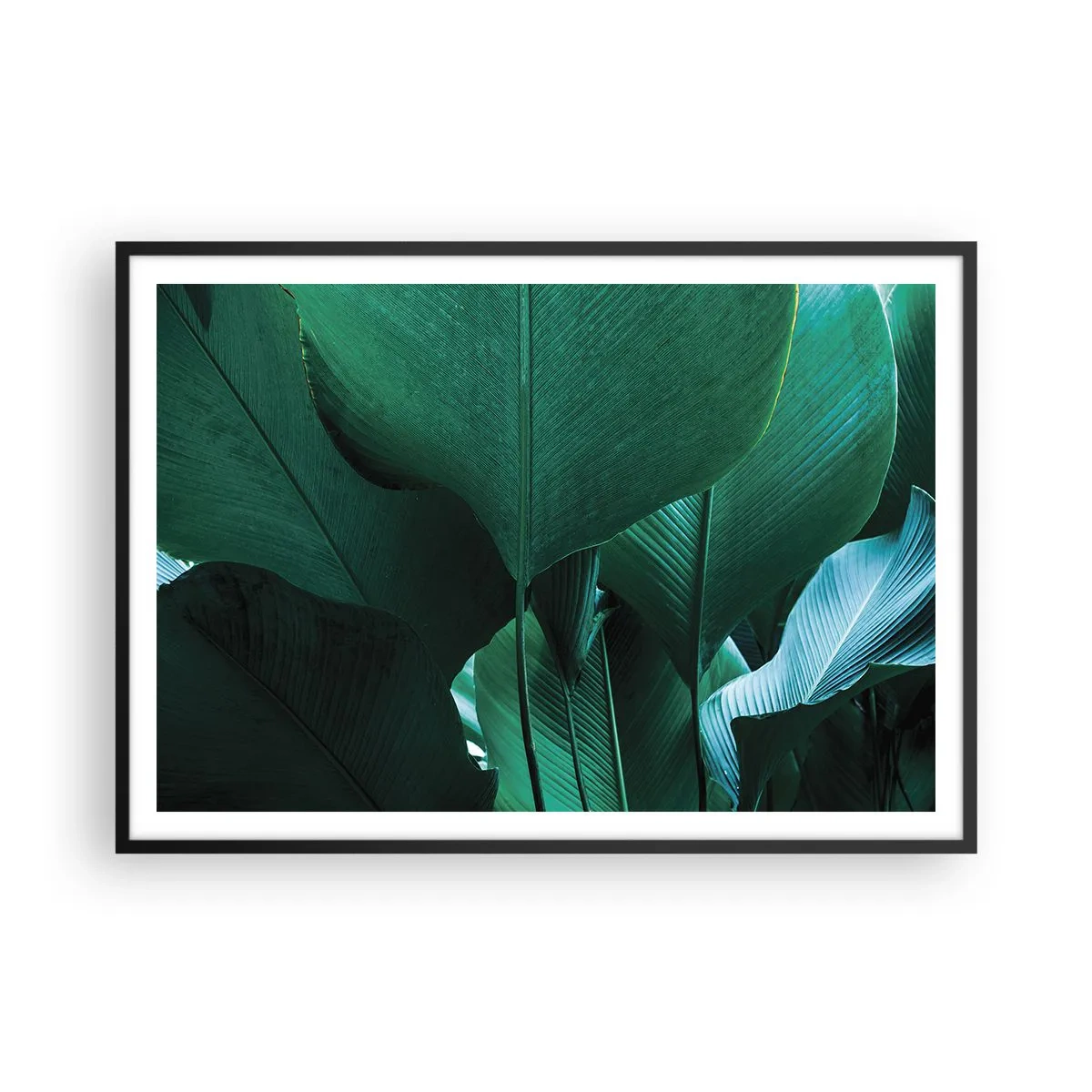 Poster in einem schwarzem Rahmen - Grüne Blätter in minimalistischer Komposition - 100x70cm - Dem Licht zugewandt - Moderne Wanddekoration für Wohnzimmer und Schlafzimmer ARTTOR