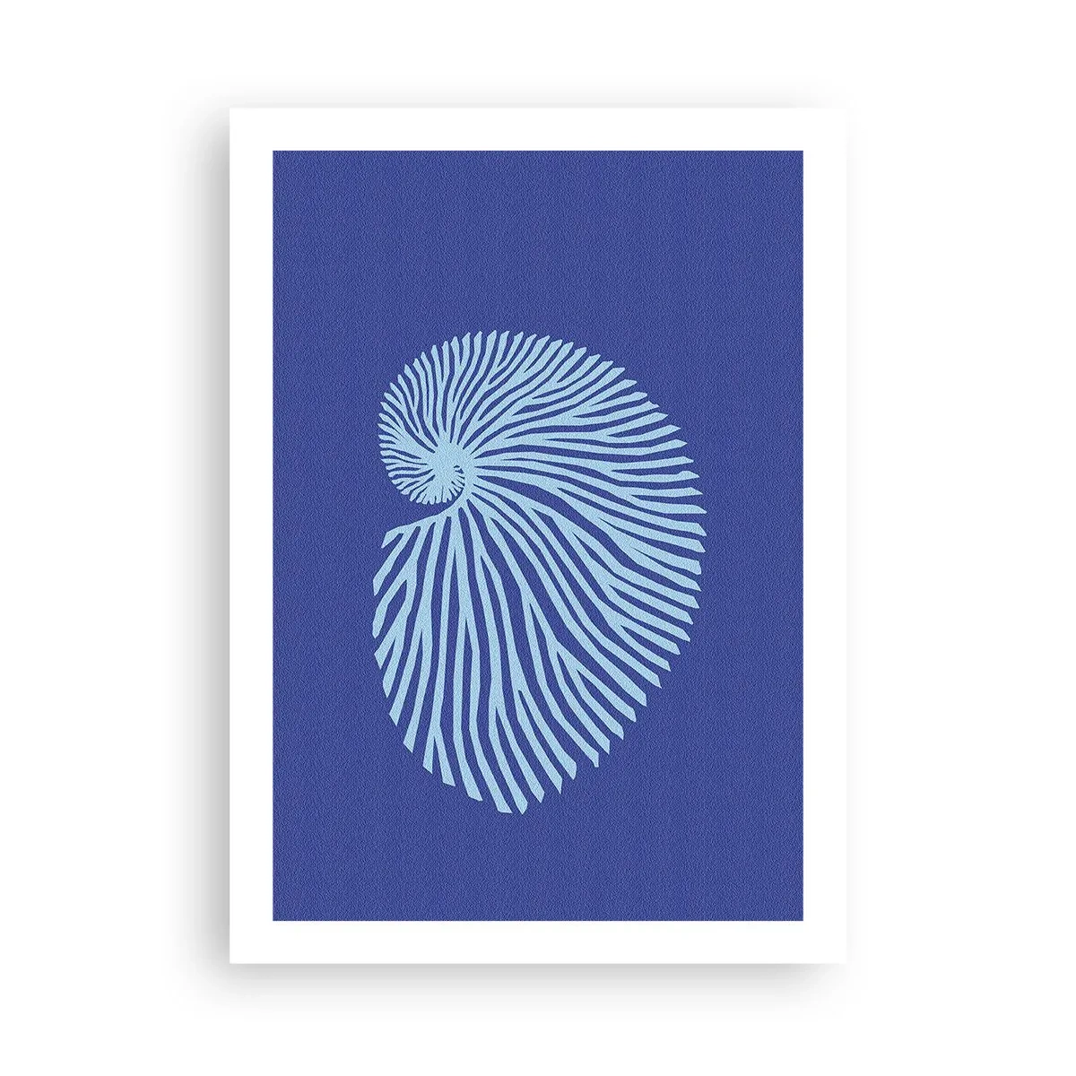 Poster - Stilisierte Muschelgrafiken in spiralförmiger Anordnung - 50x70cm - Geburt der Muschel - Moderne Wanddekoration für Wohnzimmer und Schlafzimmer ARTTOR