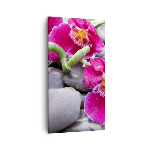 Bild auf Leinwand - Leinwandbild - Kühlen und erhitzen - 55x100 cm